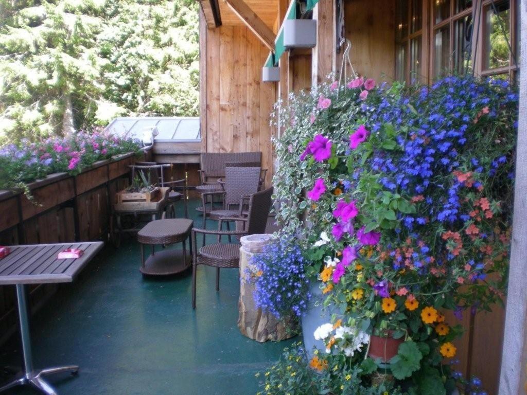 Chalet Hotel Le Collet Xonrupt-Longemer Exterior foto